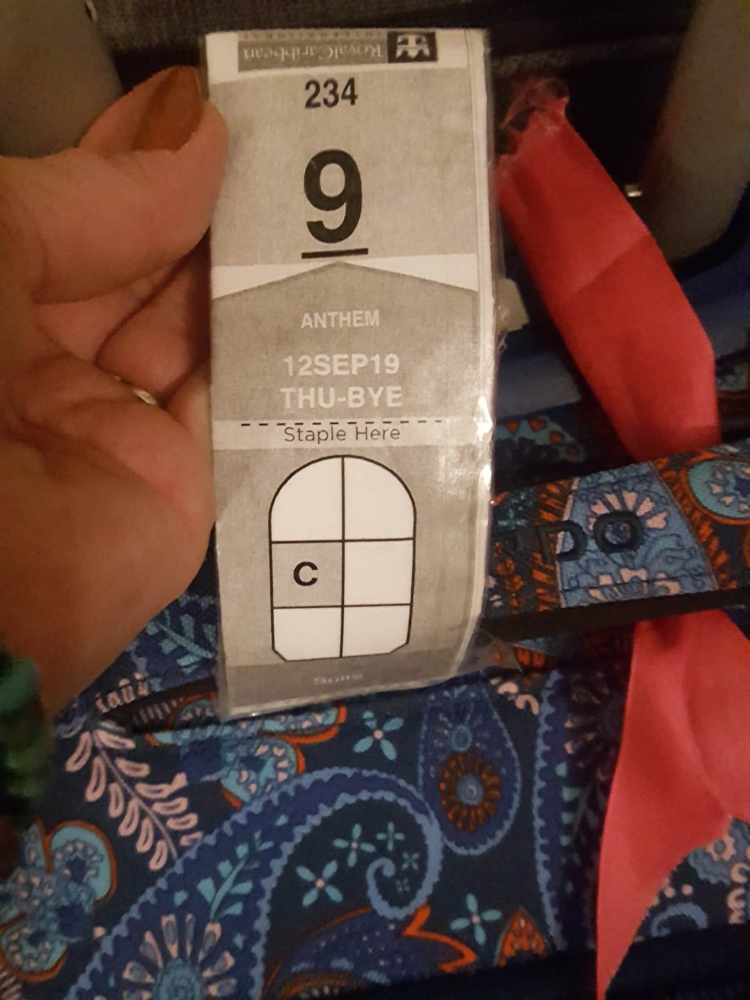 Royal Caribbean Luggage Tags Full Guide (2024) - Cruise with Leo