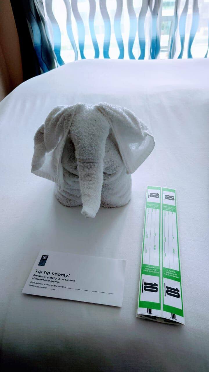 Royal Caribbean Luggage Tags Full Guide (2024) Cruise with Leo