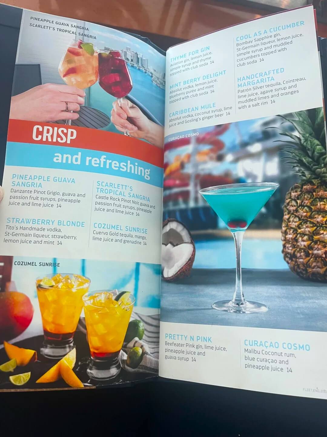 All Royal Caribbean Drink Menus with Prices (2024) Cruise with Leo