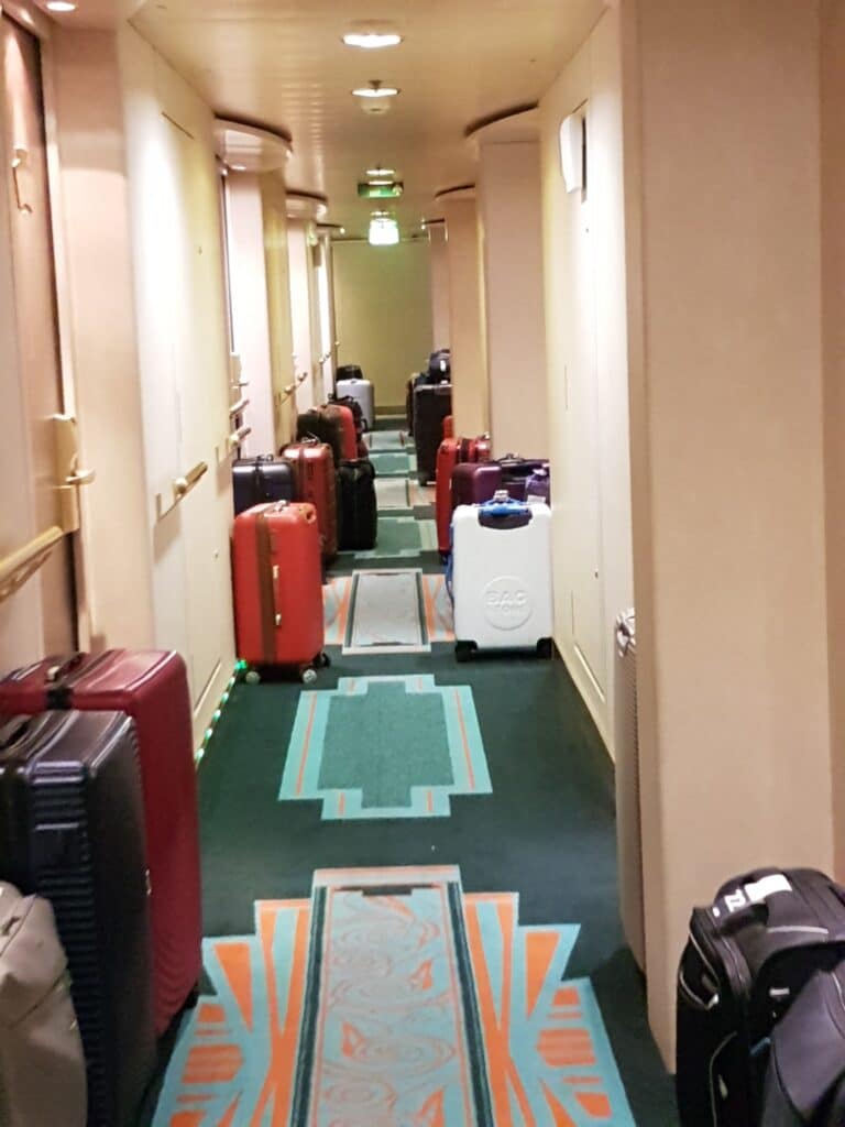 Cruise luggage