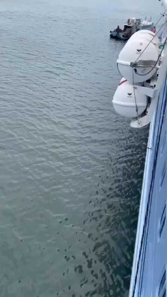 Liferafts stored in compact containers on the side of the ship