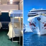 share a cruise cabin