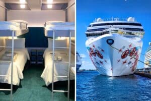 share a cruise cabin