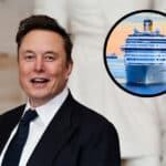 Elon Musk cruise