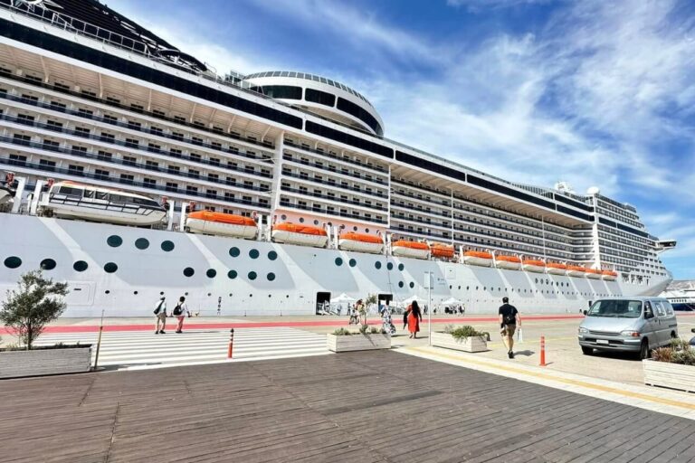 MSC cruise ship in port