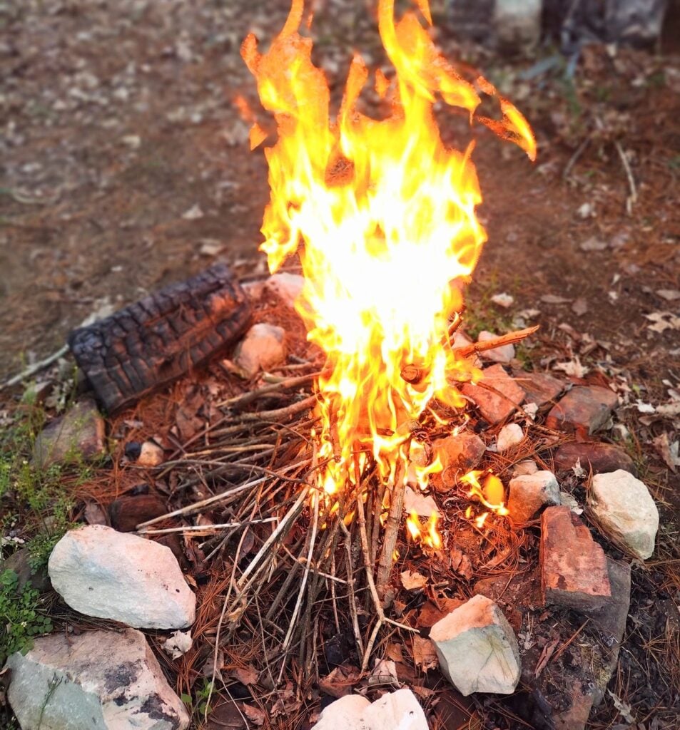Campfire in the woods