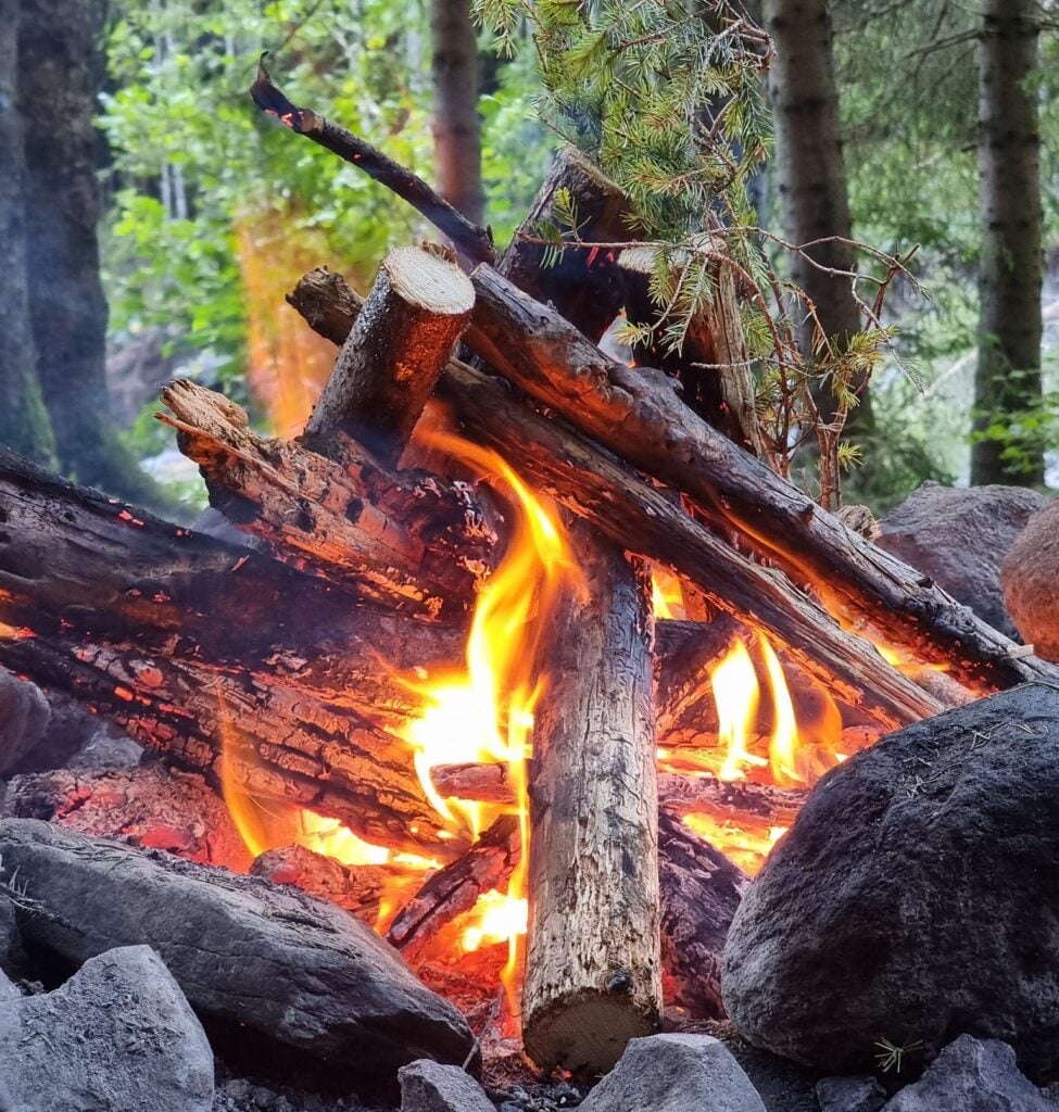 campfire in the woods