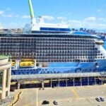 Large cruise ship docked in port