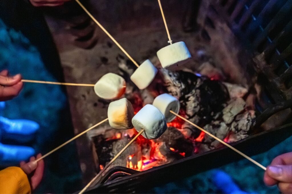 camping marshmallow sticks
